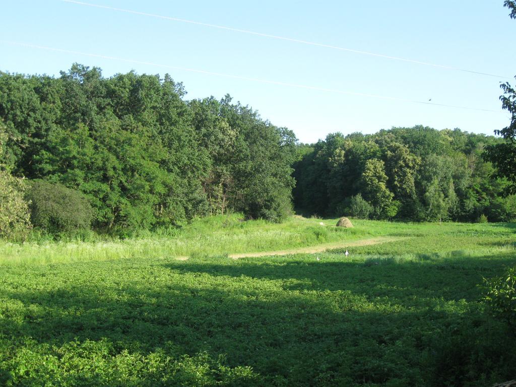 Maliovnytsya Dybintsy Exterior foto