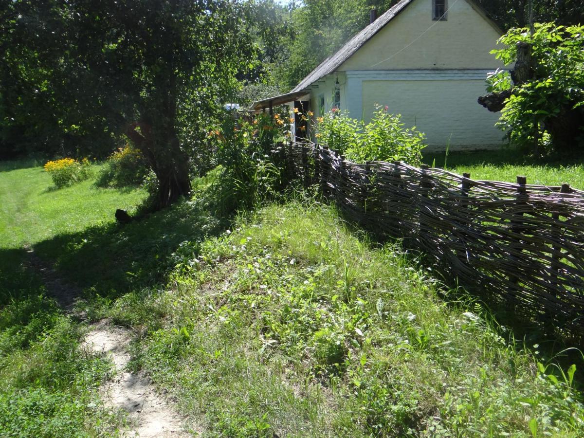 Maliovnytsya Dybintsy Exterior foto