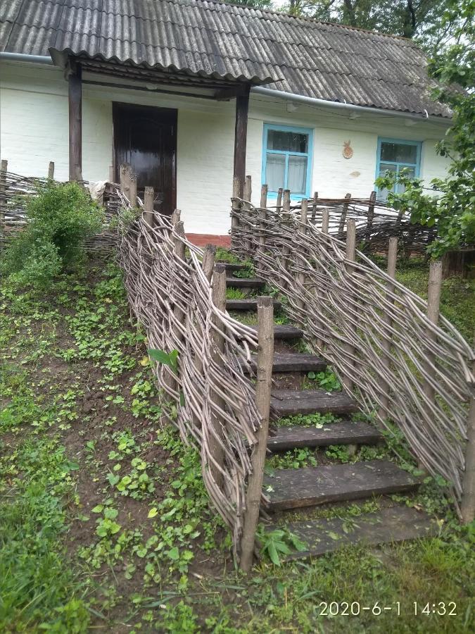 Maliovnytsya Dybintsy Exterior foto